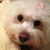 Michele Connors's photo