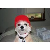 Gary LeBouefs foto
