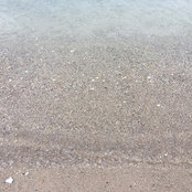 Margaret P's photo