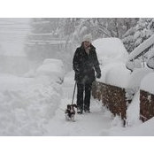 Rebecca Neumann's photo