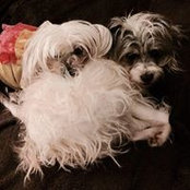 Rosemary Chesser's photo