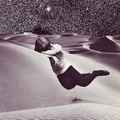 Andrea Camber's photo