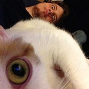 Gilligan Garfunkle's photo