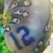 Georgette Rehfeld's photo