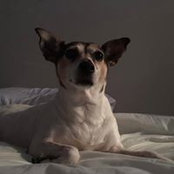 Robert Sutton's photo
