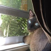 Maureen Johns's photo