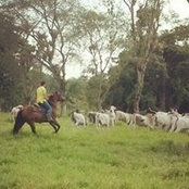 Foto von Germán Eduardo Taylor Araúz