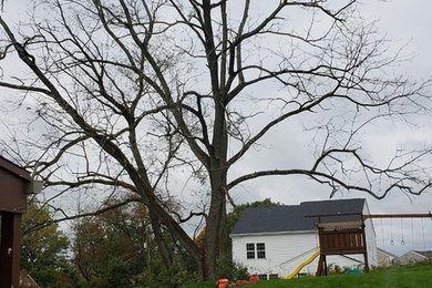 This is an example of a landscaping in Other.