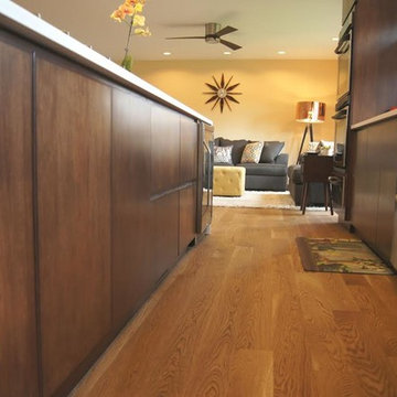 Litchfield County Mid-Century Modern Project