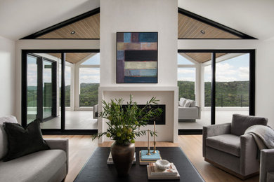 Transitional living room photo in Austin