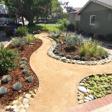 Walkway And Foot Path
