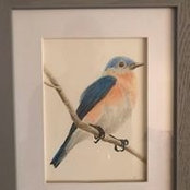 Bonnie Whitcomb's photo