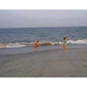 Lisa Goga's photo