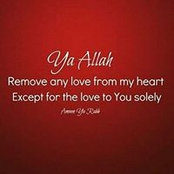 Dina Mitmug's photo