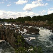 Kelly Dwyer's photo