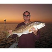 Bill Lloyd's photo