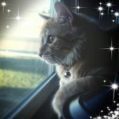 Foto von Alisa Dundee