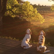 Jeffrey Lovelace's photo