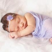 Adam Kniffen's photo