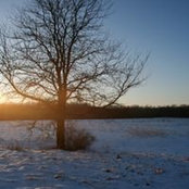 Greg Kincaid's photo