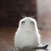 Kim Hingston's photo