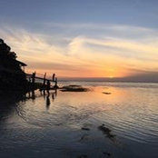 Heather Wasserman's photo