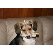Rhandi Hanson-Rudh's photo