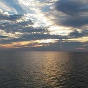 Lloyd Boshell's photo