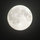 becky_mangum