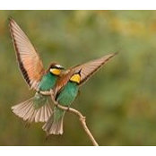 Steve Seegmiller's photo