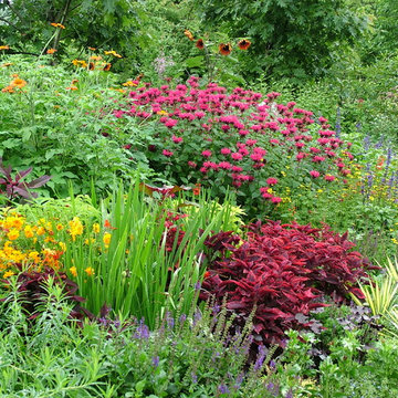 Deer Resistant Garden