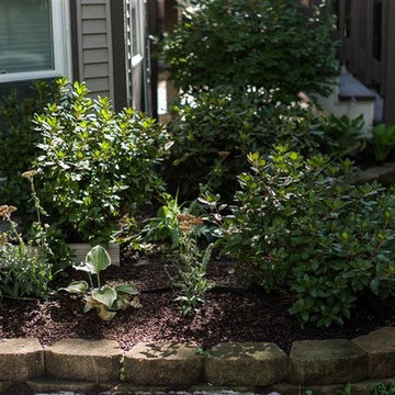 Basic Garden 2