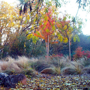 Boulders softened by grasses. Leaves provide a ruggedly attractive mulch