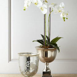 Orchid & Vessel Collection - Decorative Accents