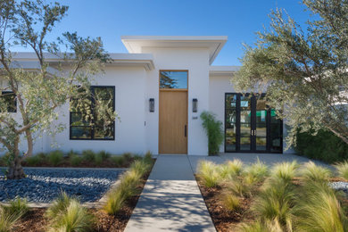 Home design - modern home design idea in Los Angeles