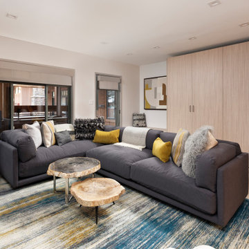 Remodel near Aspen Gondola