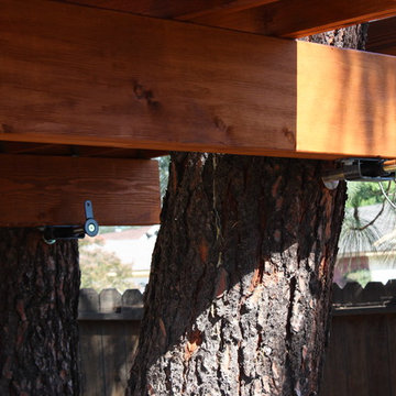 Treehouse