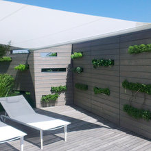 vertical garden