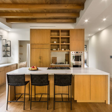 Encino Scandinavian Kitchen