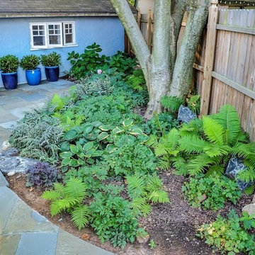 Shade Gardens