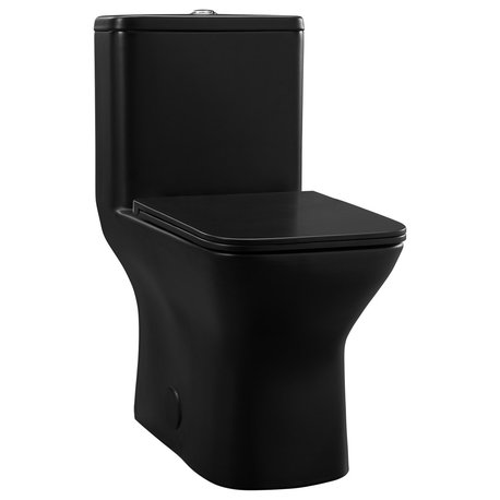 Carre One Piece Square Toilet Dual Flush, Matte Black, 0.8/1.28 gpf