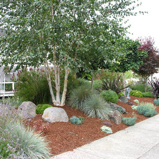 Photo of a small country front yard partial sun garden for spring in San Francisco with a garden path and mulch.