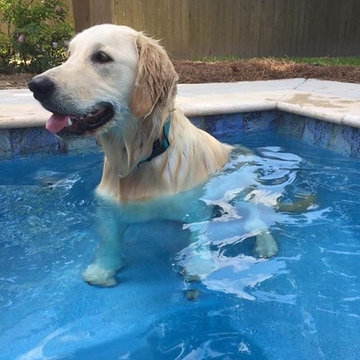 LIQUID DESIGN GROUP POOLS