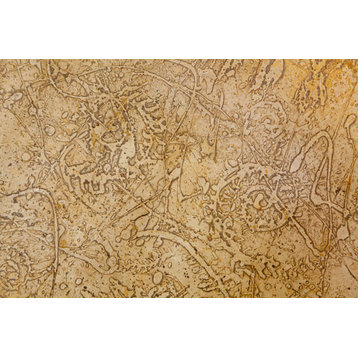 Fine Art Photograph, San Miguel Fossils II, Fine Art Paper Giclee