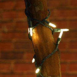 Duluth, GA Christmas Lighting Project #2 String Lights - Holiday Lighting