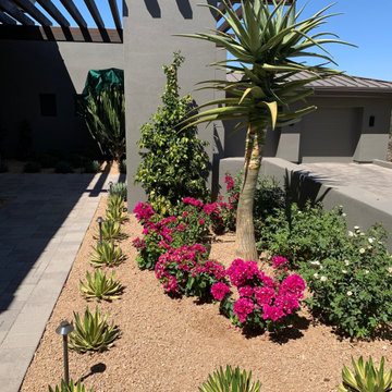 Desert Landscapes