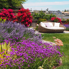 Plant Combinations