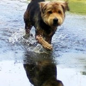 Michael Collins's photo