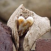 Brittany Robbins's photo