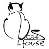 Cats House Apart's photo